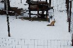 006_2009-0214-1312-39.jpg